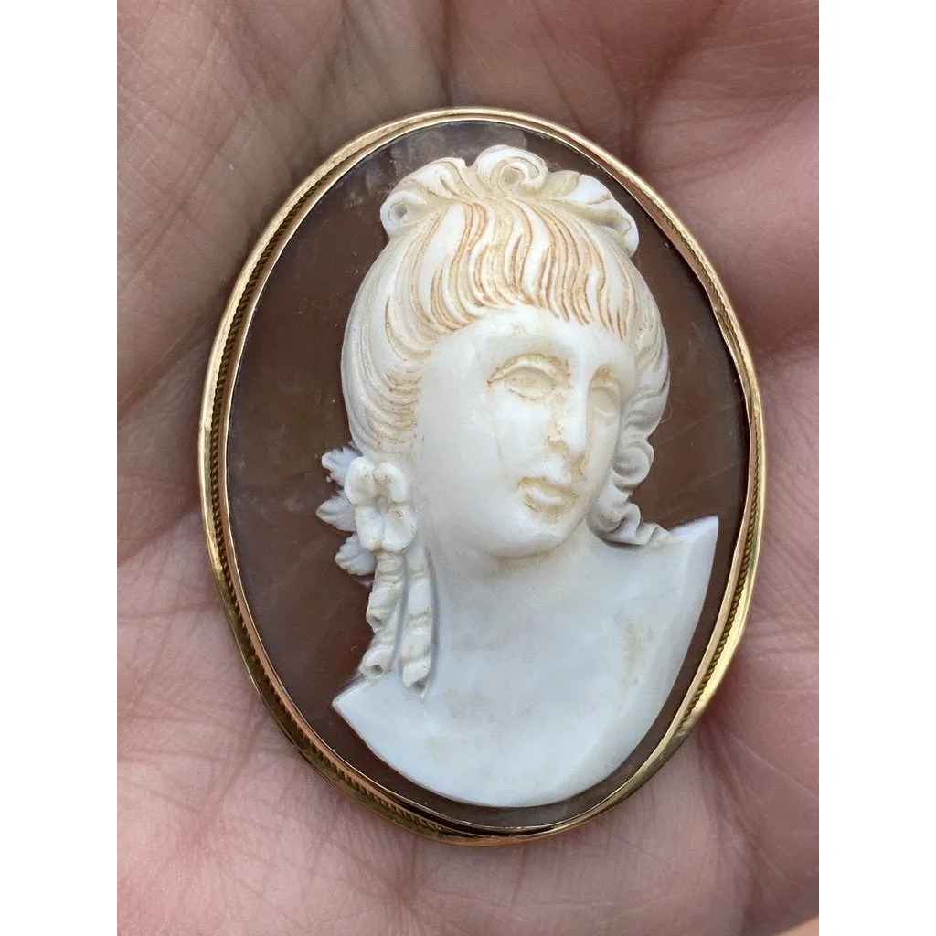 Rare Antique 19th Century Victorian Sardonyx  Cameo Brooch & Earrings 14K Gold